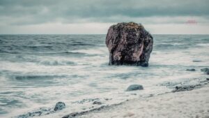 Accompagnement sexualité masculine en ligne